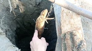 Как вытащить обломок столба из земли