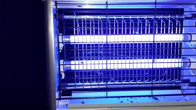 УКОЛ ЖЕЛЕЗА УБИЛ ПОРОСЁНКА, СМЕРТЬ МУХАМ. смотреть онлайн