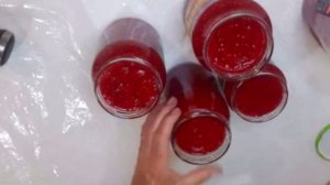 Малина Без Варки на Зиму  /  Малина Как Свежая /