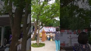 VID_20260612_184850.mp4