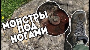 Палеонтология или поиск окаменелостей в Дагестане.