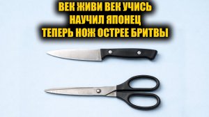 Научил ЯПОНЕЦ! Как легко и быстро наточить тупые ножи и ножницы