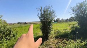 Обзор на двор в деревне
