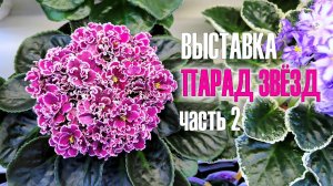 Вторая часть обзора совместной выставки «Парад звёзд-2026» в Доме Фиалки Москва 26 июня-6 июля 2026