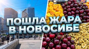 Выборная Планетарий Ключ Камышенское Плато ЖК Авеню на Выборной Большевистская Красный проспект
