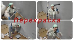 Как покрасить стены ,  опыт маляра.