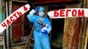 Курятник по-быстрому, часть 4/ Купили дом в деревне / Своими руками