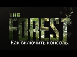 Как открыть консоль в The forest.