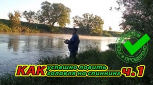 Как успешно ловить голавля на спиннинг. Ч.1 Рыбалка на спиннинг.