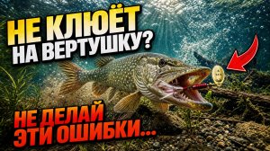 Не клюёт на вертушку? Не делай эти ошибки...