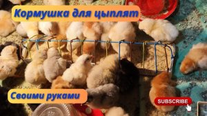 Как сделать кормушку для цыплят?