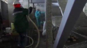 Весталайт
