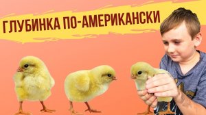 Американская провинция: курятник, огород, молдаванин.