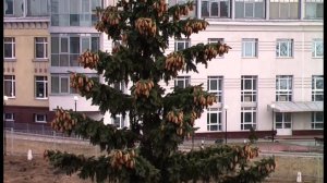 Нижний Новгород - прогулка по стене Нижегородского Кремля