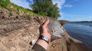 ПОЗОР ОТЦА:Сын обловил меня на ДОНКИ! (Ока рыбалка 🎣)
