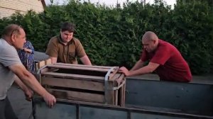 ТРЕТЬЯ ПОШЛА СЧИТАЕМ ПОРОСЯТ И СОБИРАЕМ УРОЖАЙ