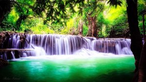 НЕЖНЫЙ ШУМ ВОДОПАДА ДЛЯ СНА И ТРОПИЧЕСКИЕ ЗВУКИ ПРИРОДЫ 🌿 ЖУРЧАНИЕ ВОДЫ ДЛЯ СНА И МЕДИТАЦИИ