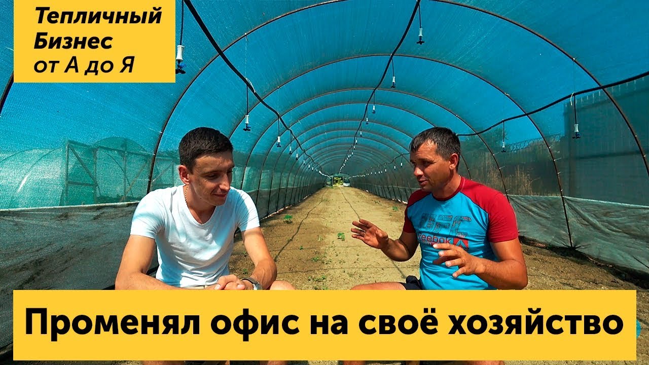 "15 лет ходил в костюме в офис" - успешный фермер, его теплицы, заработок и подход к своему делу смотреть онлайн