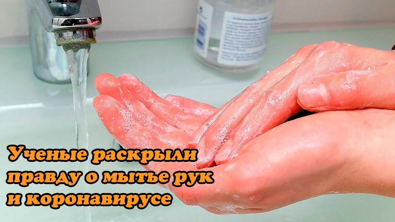 Ученые раскрыли правду о мытье рук и коронавирусе смотреть онлайн