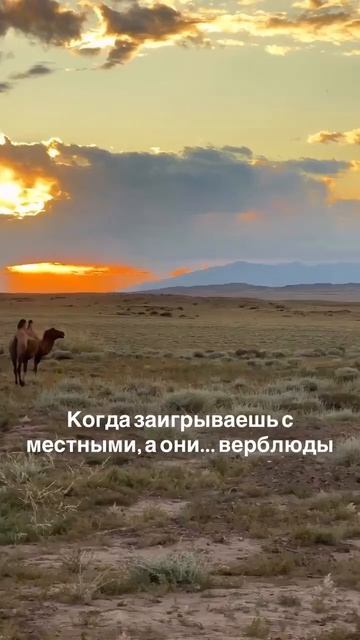 Видео от АвтоПродажи | CRM, Боты, Сайты для Бизнеса