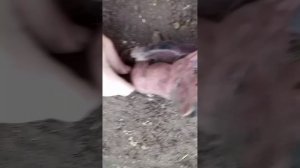 Мрачная судьба 8