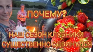 Огород 2026, начало клубничного сезона на Алтае, первые продажи. Жизнь в маленькой Алтайской деревне