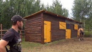 ПЕРВОЕ ЗДАНИЕ НА ЗАБРОШЕННОМ УЧАСТКЕ! Весь процесс строительства конюшни