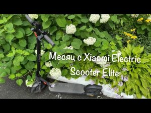 Месяц с Xiaomi Electric Scooter Elite по плохим дорогам