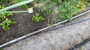 30-06-2026 Праздник живота ,поменяла цвет волос, уколы красоты , вкусный чай.
