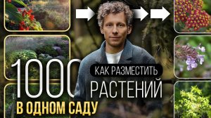 Так выглядит ИДЕАЛЬНЫЙ сад — 1000 растений на одном участке и все сочетаются!