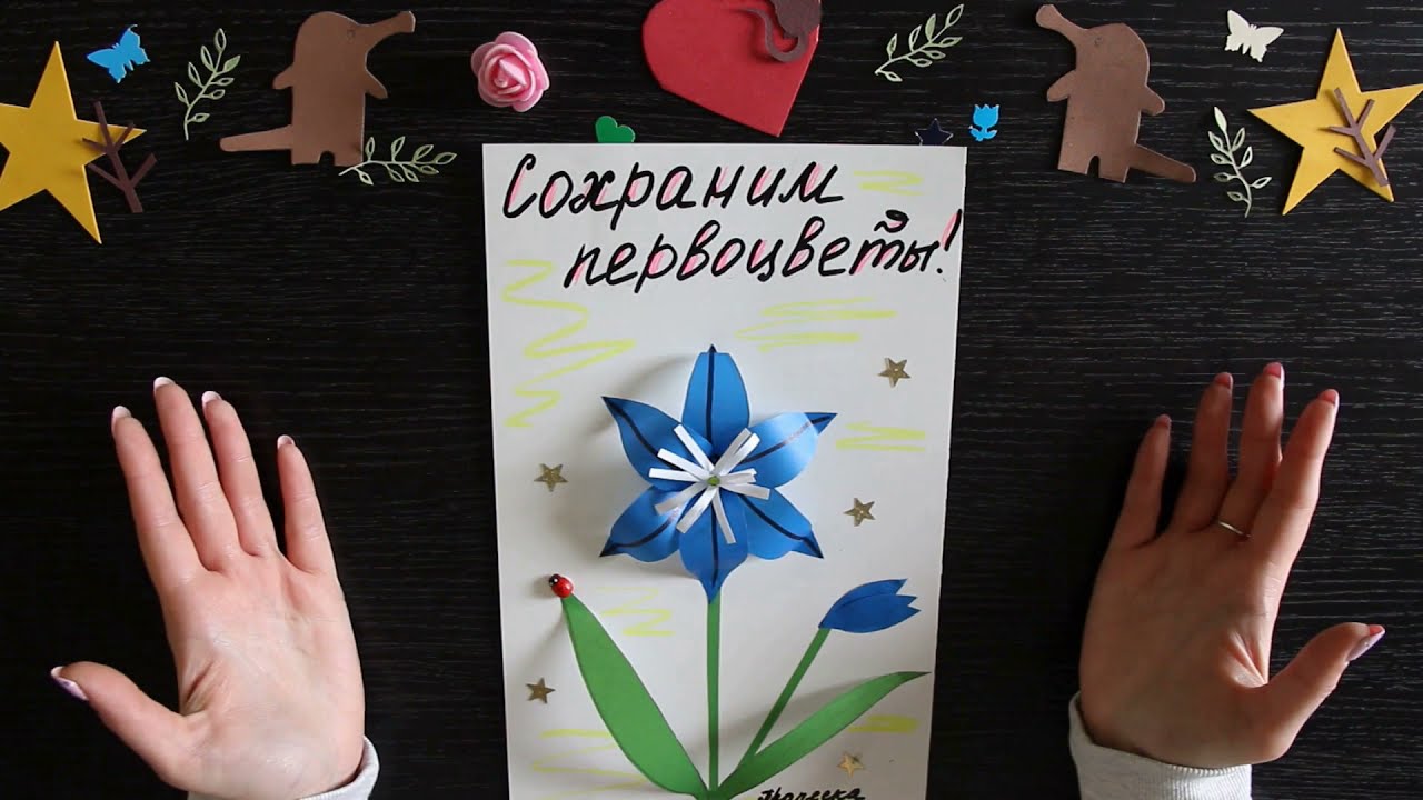 Заповедная мастерская - аппликация "Сохраним первоцветы", главный герой-первоцвет Пролеска сибирская смотреть онлайн