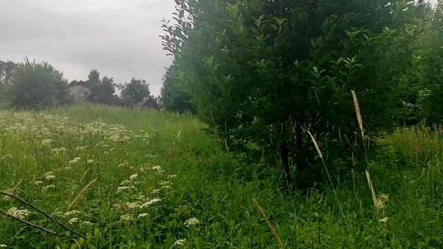 ЗУ:78 д. Тимоново, уч 59/1. смотреть онлайн