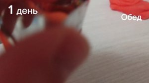 5 дней смены в ресноране 1день.
