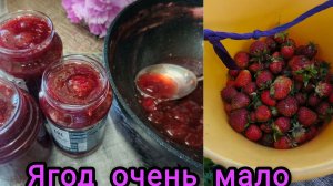Наелись каши ,картошку пропололи ,ягод насобирала .