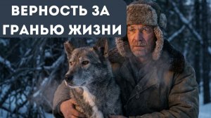 ВЕРНОСТЬ ЗА ГРАНЬЮ ЖИЗНИ | Рассказ
