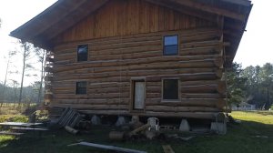 Дом из цельного бревна. Обзор стройки