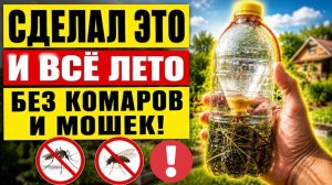 Комары и мошки исчезли за 1 вечер! Самодельный фумигатор для сада и огорода