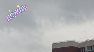ВОТ ТАК СЕГОДНЯ. ДОЖДЬ☔🌂💦. На  моей лоджии растут и цветут огурцы. ОГУРЕЦ ЗМЕЯ. УДИВИТЕЛЬНО💕😍.