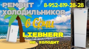 Холодильник Liebherr встройка не включается