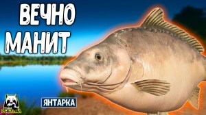 Даже во сне снится этот водоём и вечно манит к себе #рр4