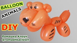 Фигурки из шариков Тигр - Tiger Balloon Animal TUTORIAL