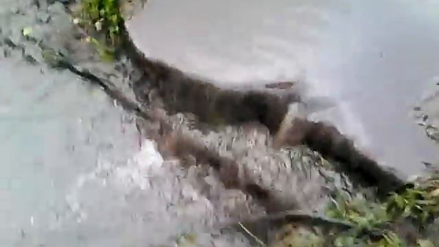 Родник во дворе смотреть онлайн