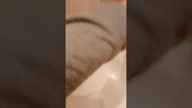 Эксперимент иголка на воде смотреть онлайн