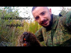 Постановка капканов на бобра_Самодельная приманка превзошла все ожидания