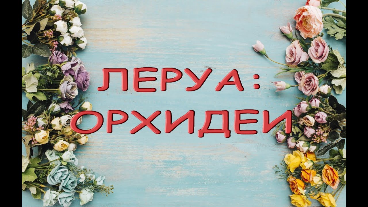 Леруа:ЗАВОЗ прекрасных ОРХИДЕЙ,30.05.22,Самара,ТЦ"Космопорт",Дыбенко 30. смотреть онлайн
