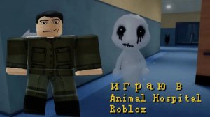 играю в Animal Hospital ROBLOX