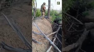 СВО