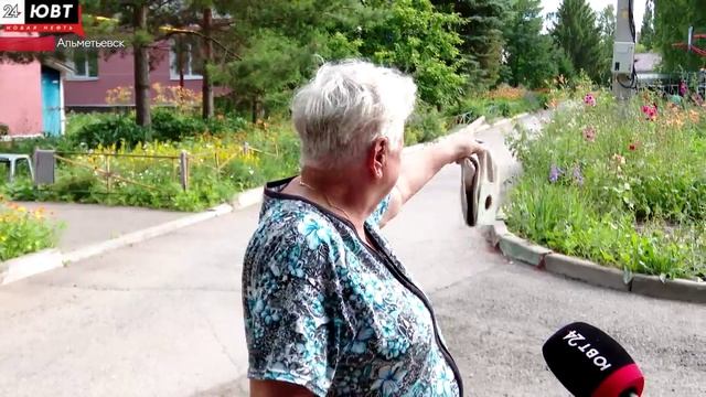 Альметьевцы жалуются на некошеную траву по дворах