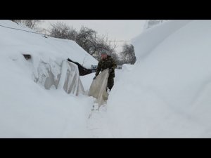 Суровая зима в Беларуси. Давно такого не было. Температура все ниже. Только теплица глотает дрова