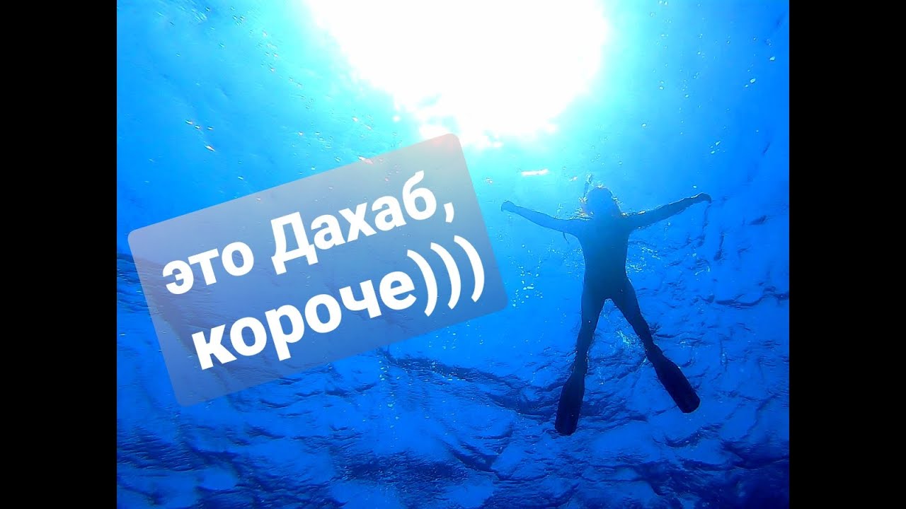 Отель Тропитель и его обитатели | Это Дахаб, короче)#dahab #tropitel